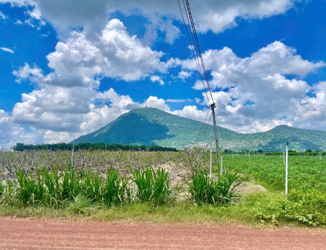 Cắt lỗ 40% bán nhanh lô đất view núi Bà Tây Ninh Giá rẻ